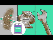 Load and play video in Gallery viewer, BIOLOMAX (4 x 4 L / 20 L)